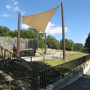 Baltimore Zoo - One end of the long Giraffe exhibit