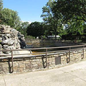 Baltimore Zoo - Large Jackass Penguin exhibit