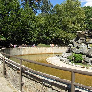 Baltimore Zoo - Large Jackass Penguin exhibit