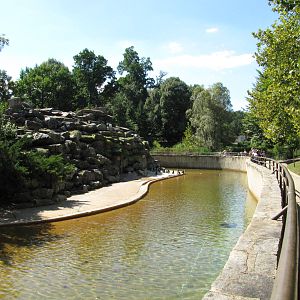 Baltimore Zoo - Large Jackass Penguin exhibit