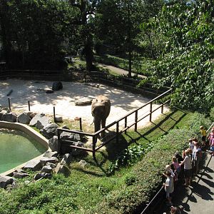 Baltimore Zoo - Part of African Elephant exhibit