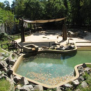 Baltimore Zoo - Part of African Elephant exhibit