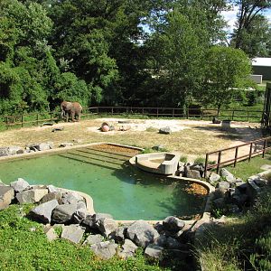 Baltimore Zoo - Part of African Elephant exhibit