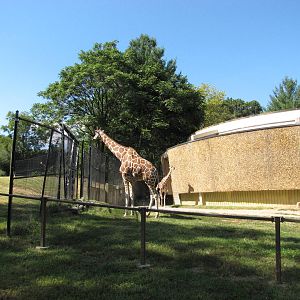Baltimore Zoo - Part of the Giraffe exhibit