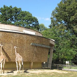 Baltimore Zoo - Part of the Giraffe and Okapi exhibits