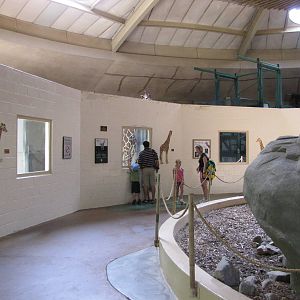 Baltimore Zoo - Inside the Okapi and Giraffe House