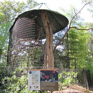 Baltimore Zoo - Red Ruffed Lemur cage
