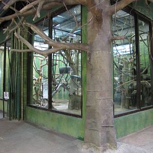 Baltimore Zoo - General view inside the Primate House