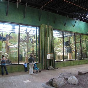 Baltimore Zoo - General view inside the Primate House