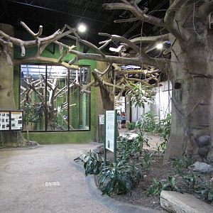 Baltimore Zoo - General view inside the Primate House