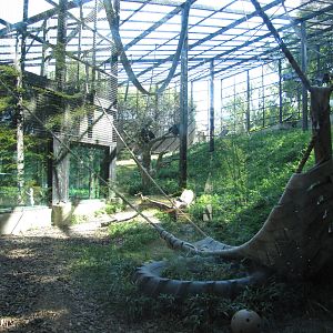 Baltimore Zoo - Inside Chimpanzee outdoor exhibit