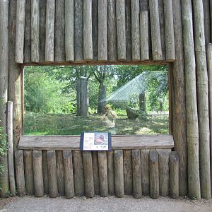 Baltimore Zoo - Viewing window into the African Lion exhibit
