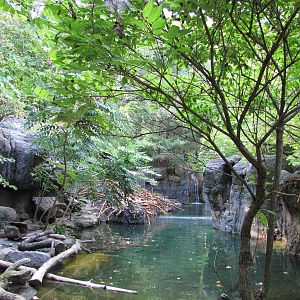 Baltimore Zoo - North American River Otter exhibit in Childrens Zoo