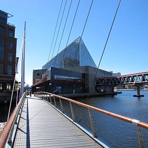 Baltimore Aquarium 2010 - Bottlenose Dolphin Amphitheater building