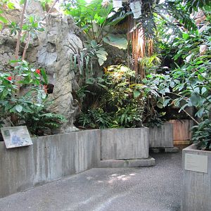 Baltimore Aquarium 2010 - General view from Upland Tropical Rain Forest on