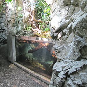 Baltimore Aquarium 2010 - General view from Upland Tropical Rain Forest on