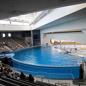 Baltimore Aquarium 2010 - Bottlenose Dolphin Amphitheater from the left