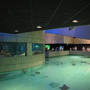 Baltimore Aquarium 2010 - Mixed exhibit on Level 2