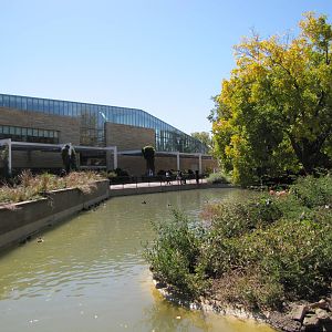 Como Zoo 2010 - Seasonal waterfowl exhibit