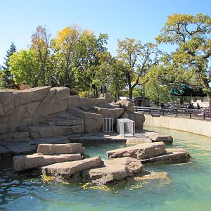 Como Zoo 2010 - Sea Lion Pool