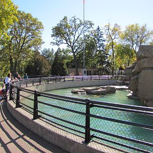 Como Zoo 2010 - Alongside Sea Lion Pool