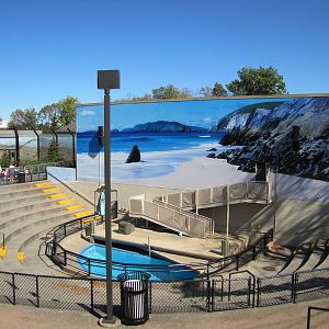 Como Zoo 2010 - Sea Lion Amphitheatre