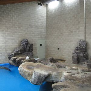 Como Zoo 2010 - Left side of indoor Common Seal pool