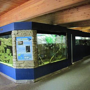 Como Zoo 2010 - General view inside the Aquatic Animals building