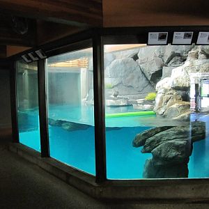 Como Zoo 2010 - Indoor Puffin exhibit