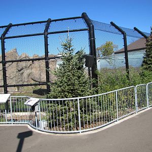 Como Zoo 2010 - One side of a new Polar Bear exhibit