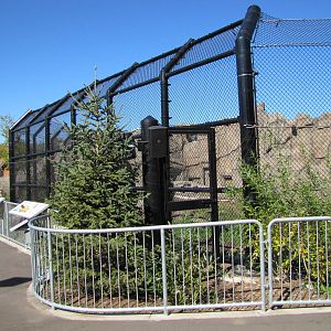 Como Zoo 2010 - Another side of a new Polar Bear exhibit
