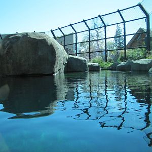 Como Zoo 2010 - First part of the larger Polar Bear exhibit