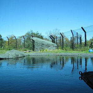 Como Zoo 2010 - Second part of the larger Polar Bear exhibit
