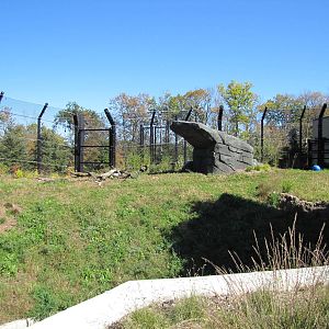 Como Zoo 2010 - Third part of the larger Polar Bear exhibit