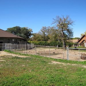 Como Zoo 2010 - American Bison enclosure