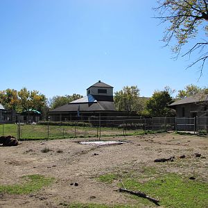 Como Zoo 2010 - American Bison enclosure