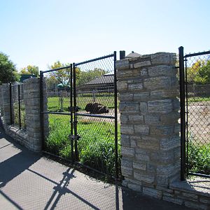 Como Zoo 2010 - Alongside American Bison enclosure to the left