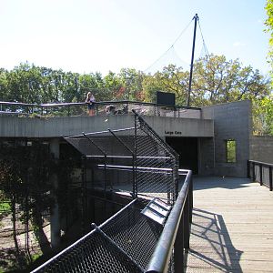 Como Zoo 2010 - Entrance to the Large Cat building