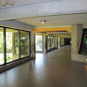 Como Zoo 2010 - General view inside the Large Cat building