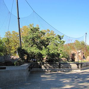 Como Zoo 2010 - Cougar and Snow Leopard enclosures