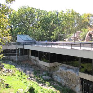 Como Zoo 2010 - Another part of Amur Tiger exhibit