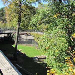 Como Zoo 2010 - Part of African Lion exhibit
