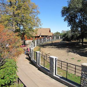Como Zoo 2010 - View from the Large Cat building