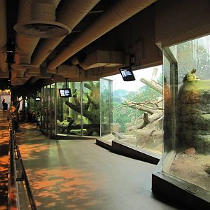 Como Zoo 2010 - General view inside the Primate House