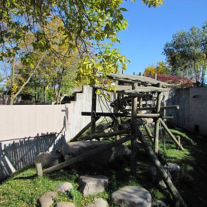 Como Zoo 2010 - Second part of the Gorilla outdoor exhibit