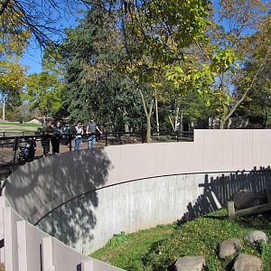 Como Zoo 2010 - Third part of the Gorilla outdoor exhibit