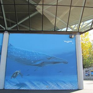 Minnesota Zoo 2010 - Whale painting on the side of Tropics Trail