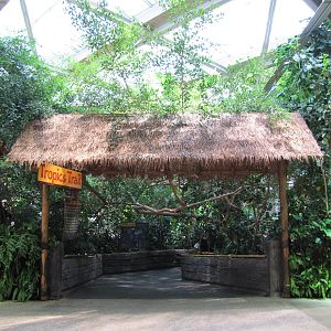 Minnesota Zoo 2010 - Indoor entrance to Tropics Trail