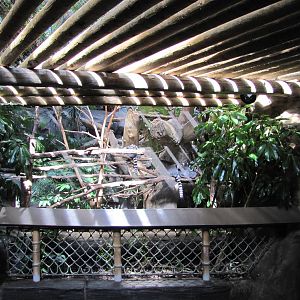 Minnesota Zoo 2010 - Front of Ring-tailed Lemur exhibit in Tropics Trail
