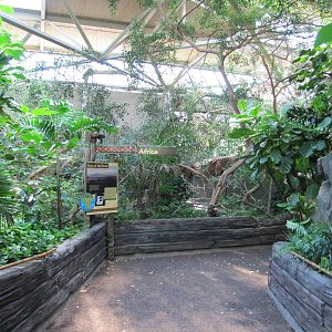 Minnesota Zoo 2010 - General view inside Tropics Trail